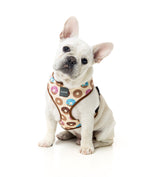 Go Nuts Dog Harness -FINAL SALE NO RETURNS OR EXCHANGES